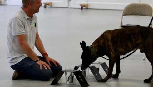 Mastering Sniffer Dog Training: Unlock Your Dog’s True Potential