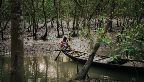 Sundarban Tour: Explore the Wild Beauty of the World’s Largest Mangrove Forest